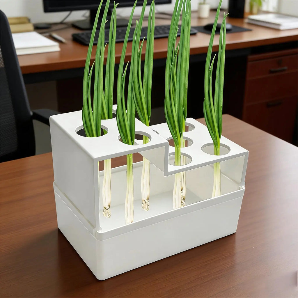 Scallion Regrower Hydroponic Sprouting Reusable Leakproof Planter