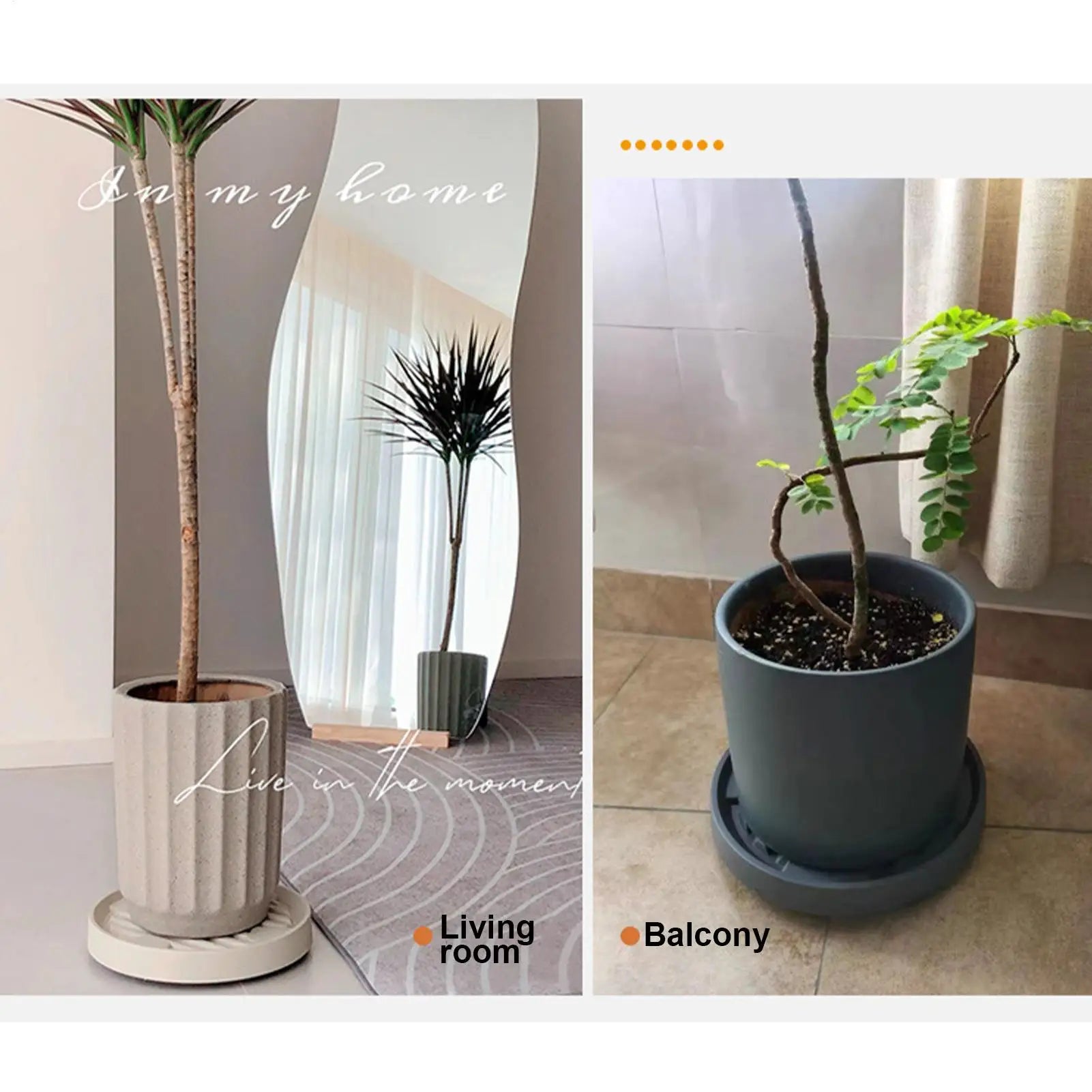 Plant Stand with Wheels Heavy Duty Pot Base Plant Roller with Lockable Casters for Flower Pot Planter Garden Balcony Patio Zpaxo