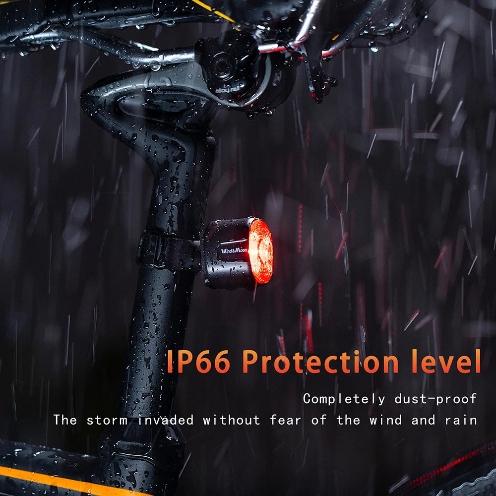 Bicycle Auto Brake Sensing Brake Tail Light Gift lP66Waterproof LED Bike Warning Light for MTB&Road Bike Night Safety Saddle/Bag Zpaxo