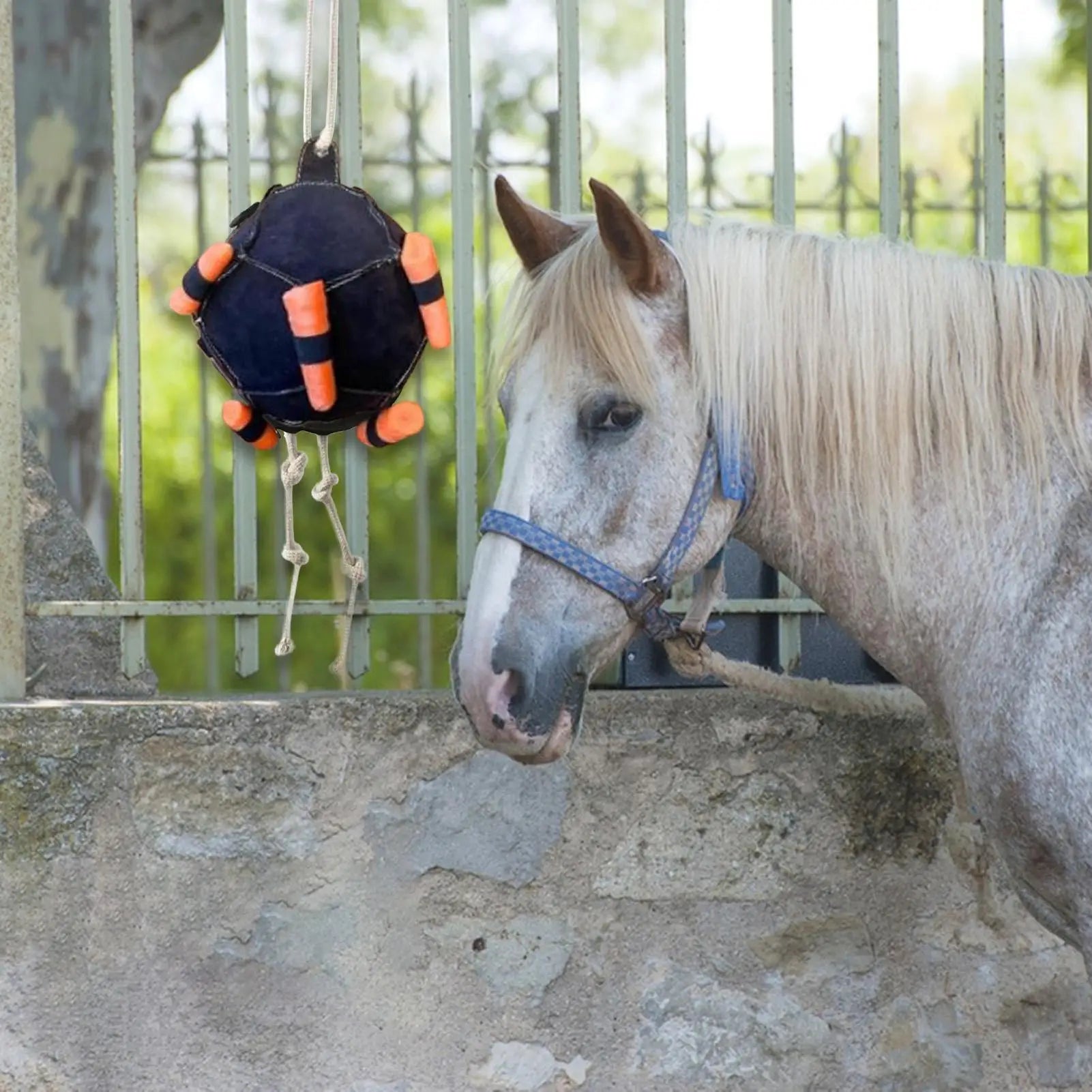 Horse Supports Ball Carrot Slow Feeder Toy Equine Enrichment Boredom