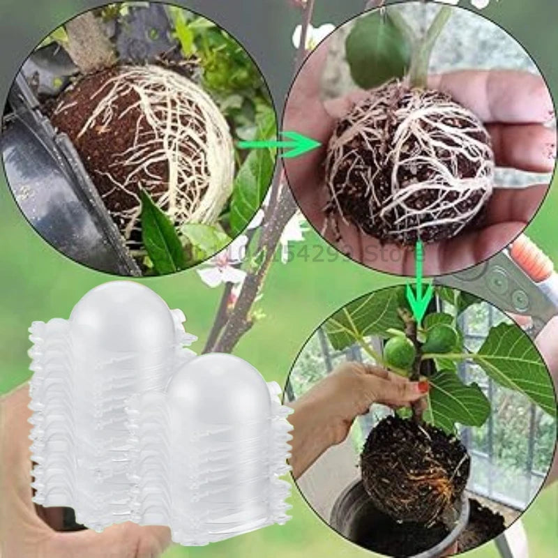 Plant Rooting Ball Grafting Rooting Box Breeding Case High Pressure Plant Root Growing Box for Garden Planting Supply Zpaxo