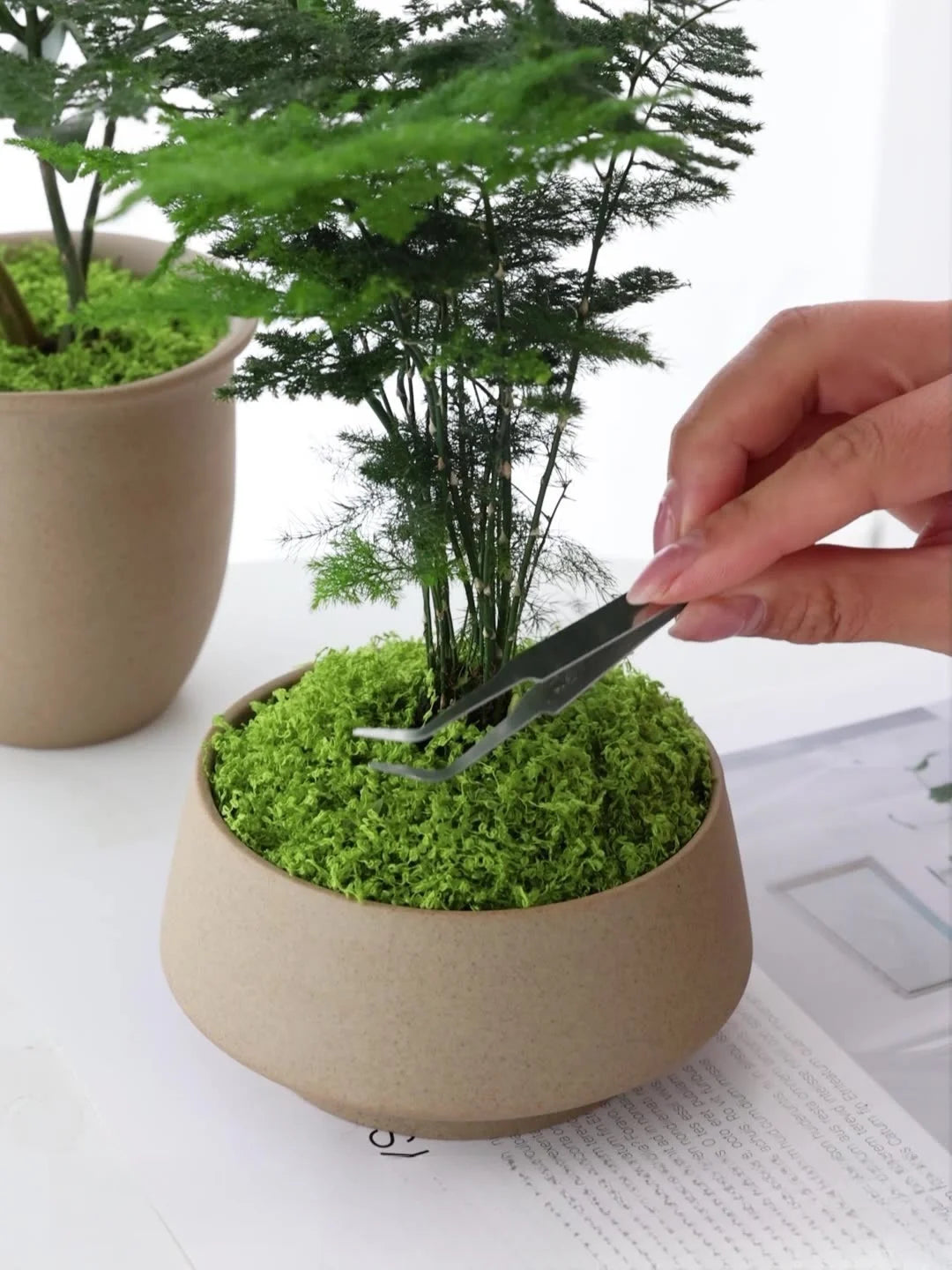 Artificial moss filaments moss lawn people fake moss do not fade DIY scene layout Zpaxo